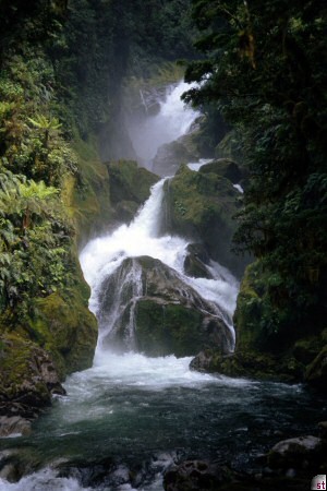 Milford Track 2